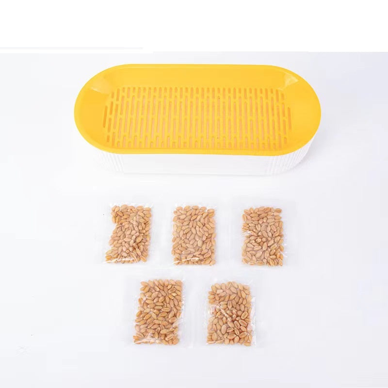 Plastic Cat Grass Planting Box for Growing Catnip Seeds 3
