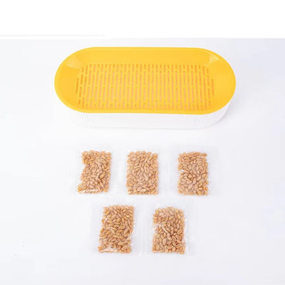 Plastic Cat Grass Planting Box for Growing Catnip Seeds 3