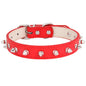 Spiked Leather Dog Collar Adjustable Durable Studded 5