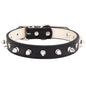 Spiked Leather Dog Collar Adjustable Durable Studded 4