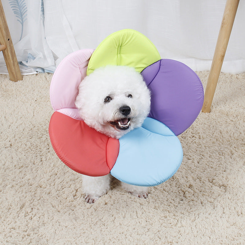 Polyester Dog Cone Soft Flower Shape Adjustable Neck S to XL 2