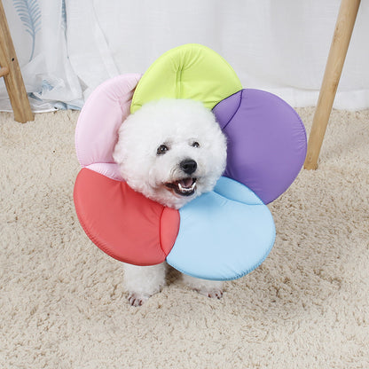 Polyester Dog Cone Soft Flower Shape Adjustable Neck S to XL 2