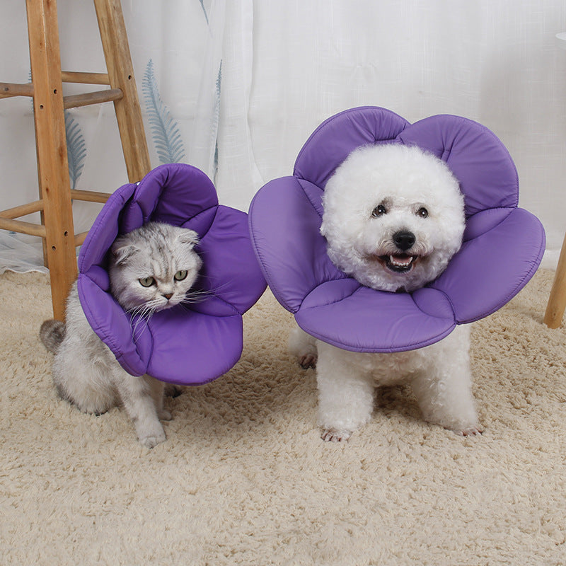 Polyester Dog Cone Soft Flower Shape Adjustable Neck S to XL 3