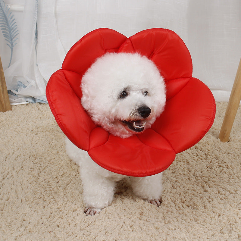 Polyester Dog Cone Soft Flower Shape Adjustable Neck S to XL 5
