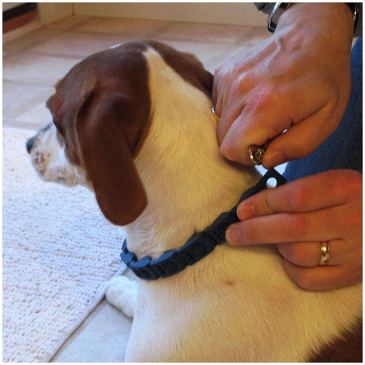 Adjustable ABS Dog Training Collar with Traction Rope 3