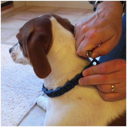 Adjustable ABS Dog Training Collar with Traction Rope 3