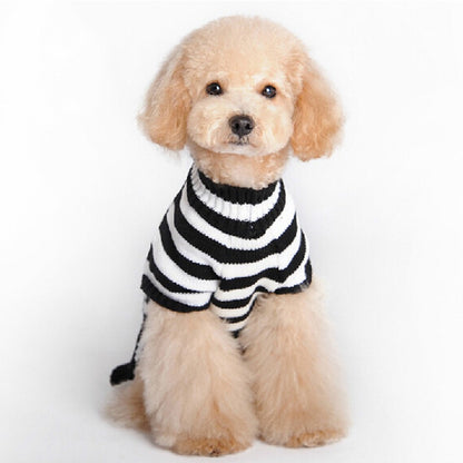 Halloween Dog Sweater Skull Knit Soft Comfortable 4