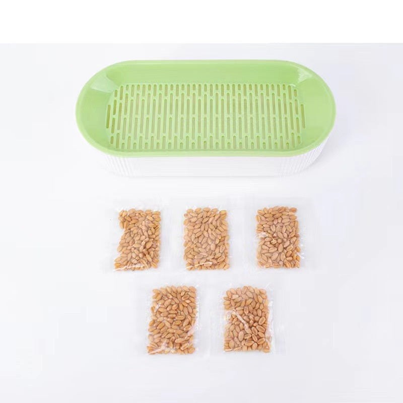 Plastic Cat Grass Planting Box for Growing Catnip Seeds 2
