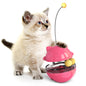 Interactive Cat Toys Tumbler Cat Shape Relieving Fun Toy 5