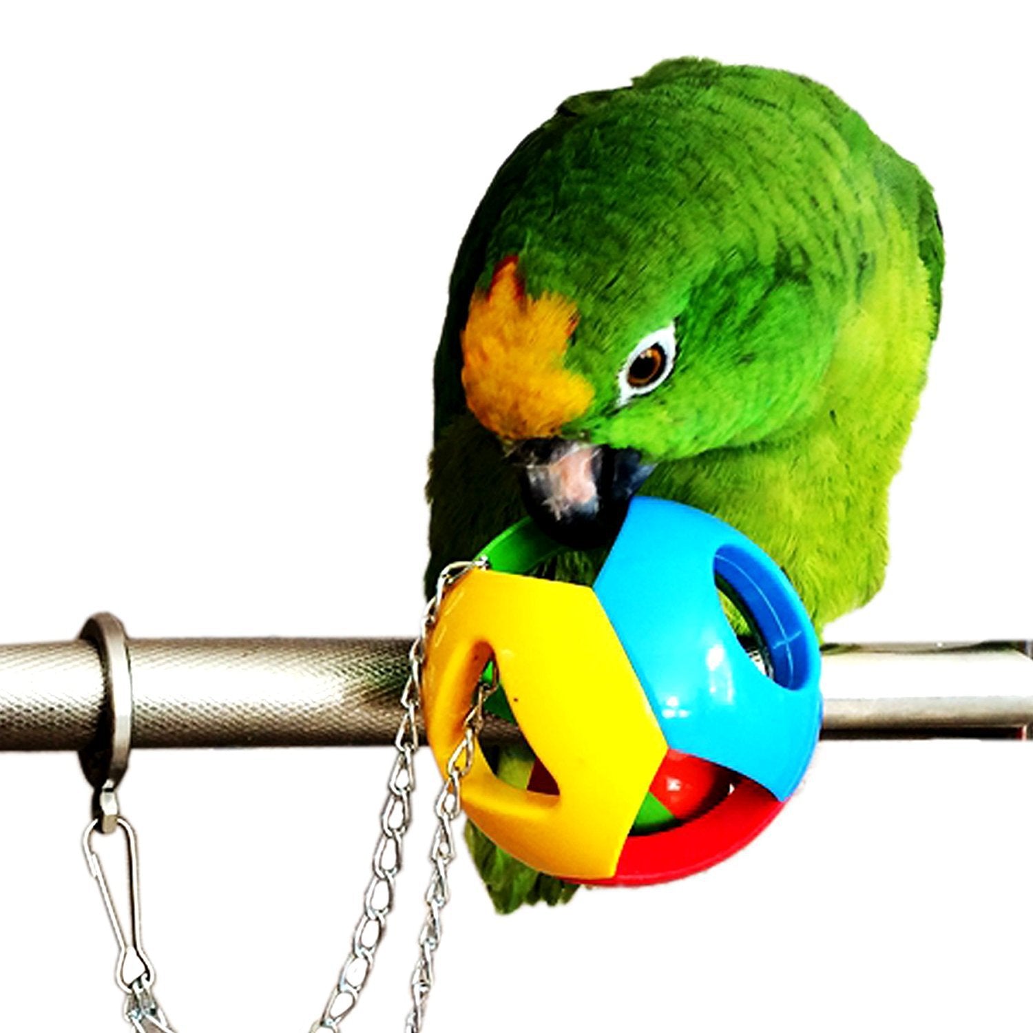 Plastic Parrot Toy Bell Ball Hanging Cage Accessory 4