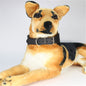 Leather Dog Collar Wide Adjustable Heavy Duty L XL XXL 9