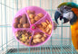 Plastic Parrot Feeder Compartment Food Box Cage Accessory
