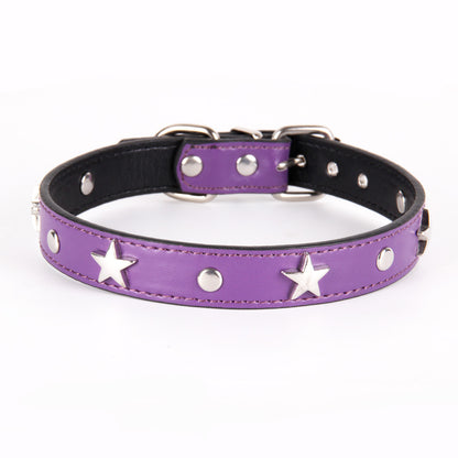 Leather Dog Collar Star Studded for Small and Medium Dogs 7
