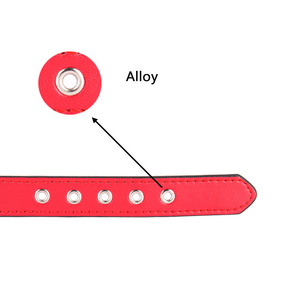 Leather Dog Collar Star Studded for Small and Medium Dogs 2