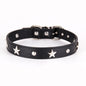 Leather Dog Collar Star Studded for Small and Medium Dogs 5