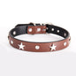 Leather Dog Collar Star Studded for Small and Medium Dogs 4