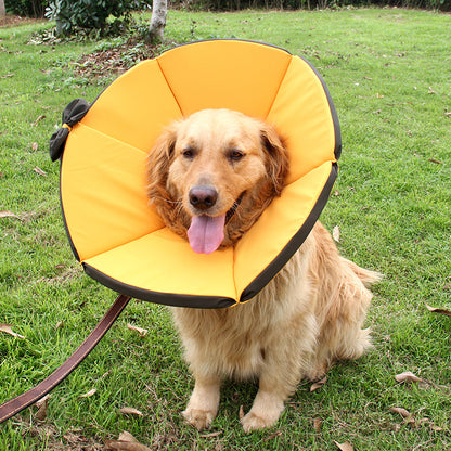 Cloth Dog Cone Elizabethan Recovery Collar Adjustable Sizes