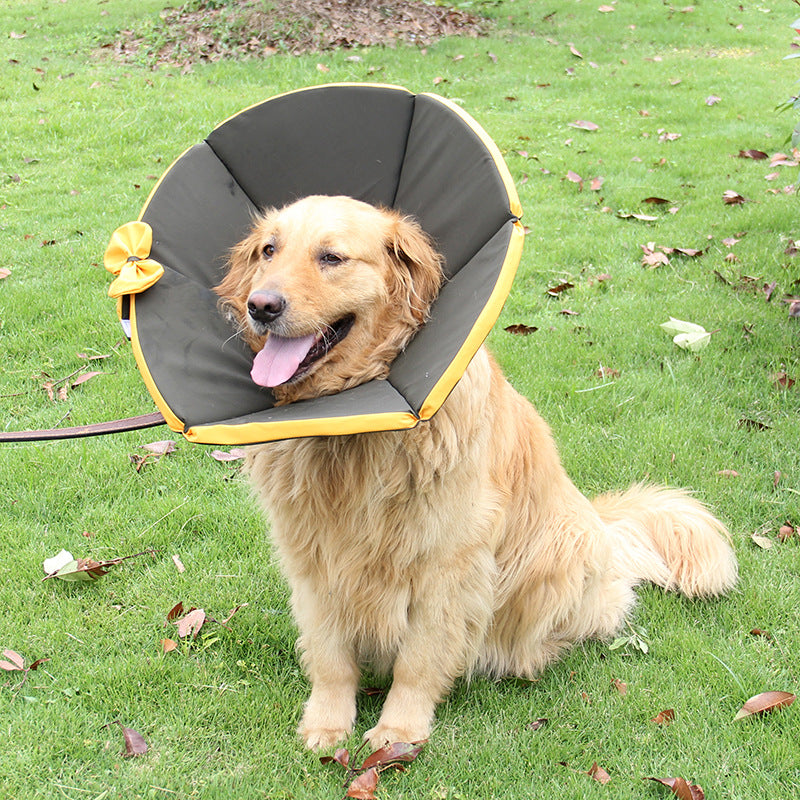 Cloth Dog Cone Elizabethan Recovery Collar Adjustable Sizes 3