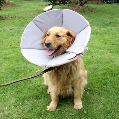 Cloth Dog Cone Elizabethan Recovery Collar Adjustable Sizes 2