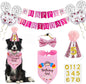Dog Birthday Party Supplies Hat Bandana Bowtie Balloons Banner Set
