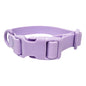 Waterproof Plastic Dog Collar Tow Rope Adjustable Sizes S M L 6
