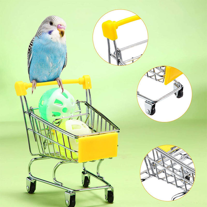 Plastic Parrot Toy Trolley Skateboard Set 6 Pack 4