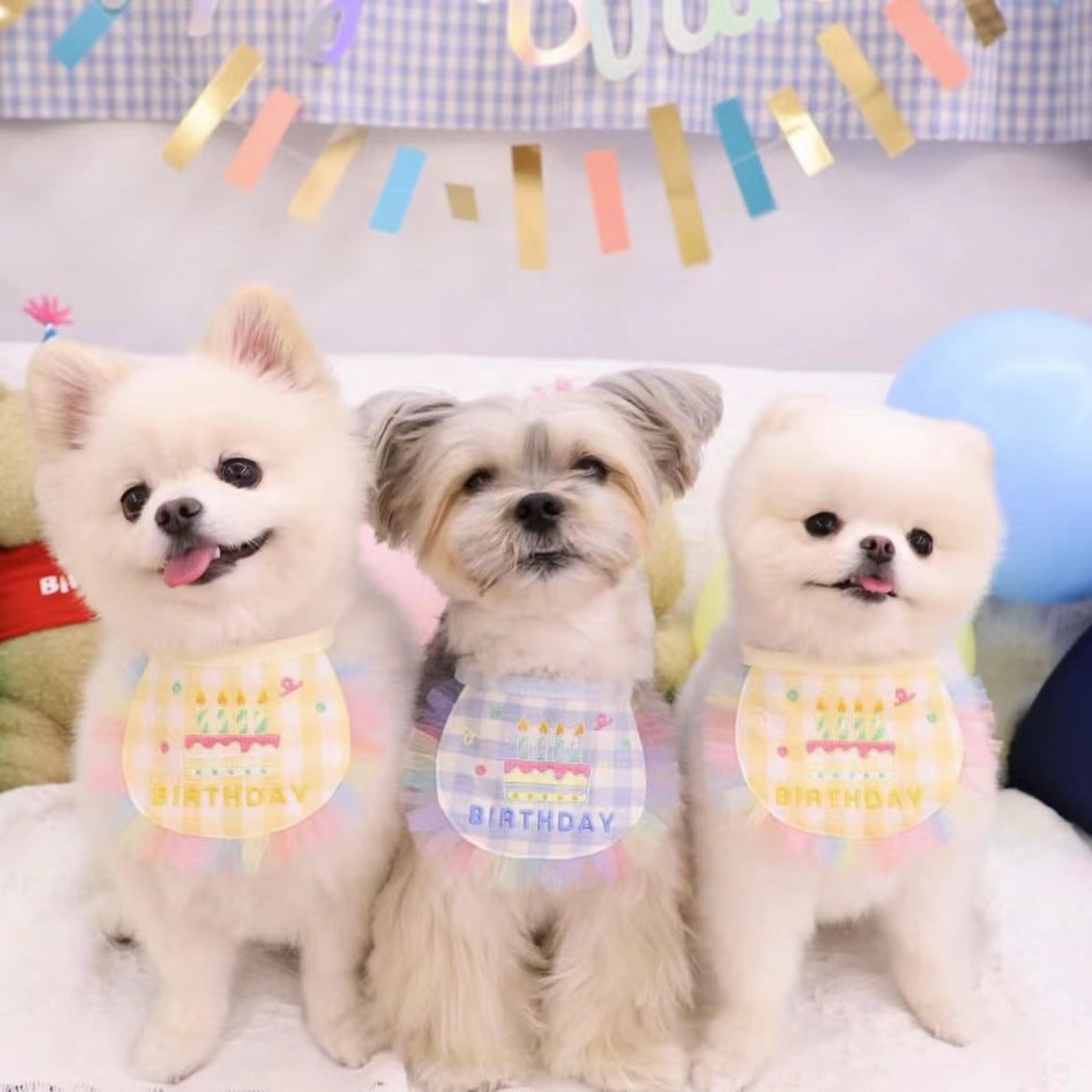 Cotton Polyester Dog Birthday Bib and Hat Set 2 Pack 4