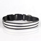 Adjustable Nylon LED Dog Collar Glow in the Dark Light Up 6