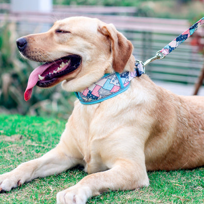 Printed Reflective Dog Collar Adjustable Polyester Material