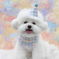 Cotton Polyester Dog Birthday Bib and Hat Set 2 Pack 7