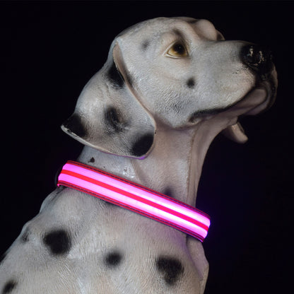 Adjustable Nylon LED Dog Collar Glow in the Dark Light Up