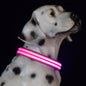 Adjustable Nylon LED Dog Collar Glow in the Dark Light Up