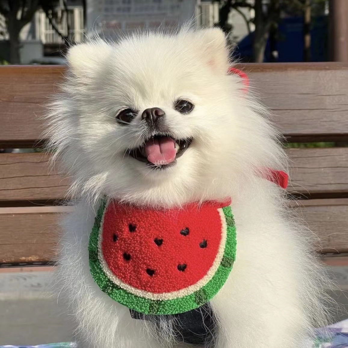 Wool Dog Bandana Watermelon Design Adjustable Size 4