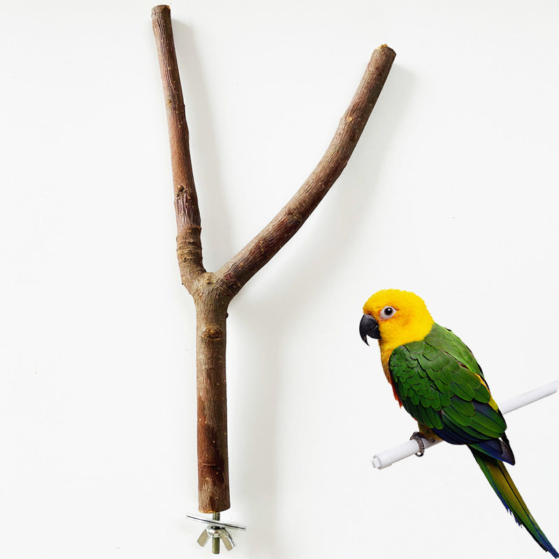 Natural Applewood Bird Perch Stand Rod for Parrots 20CM 2