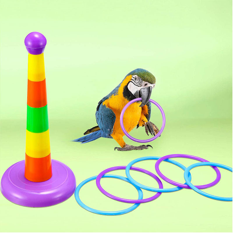 Plastic Parrot Toy Trolley Skateboard Set 6 Pack 5