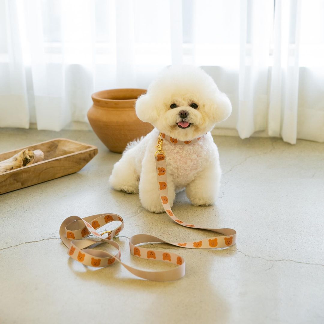 Polyester Dog Leash Traction Rope 2m Lightweight