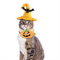 Plush Dog Collar and Pumpkin Hat Halloween Costume Set 4