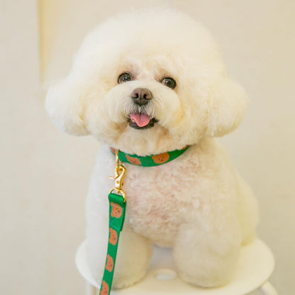 Polyester Dog Leash Traction Rope 2m Lightweight 2