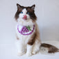 Hand-Woven Acrylic Cat Collar Bib for Cats 2