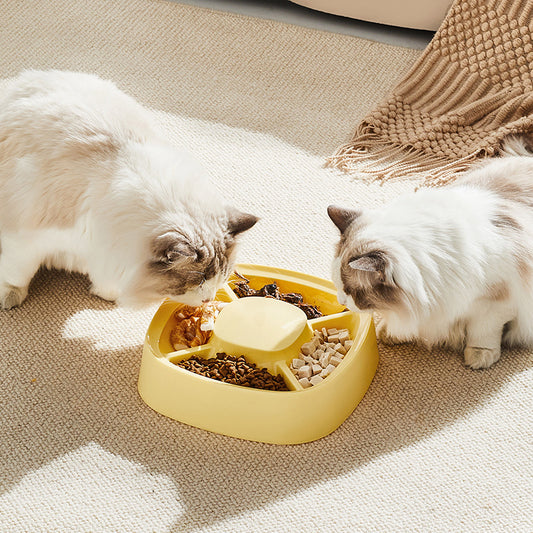 Small Compartment Dog Food Bowl Plastic 27x27x7.7cm