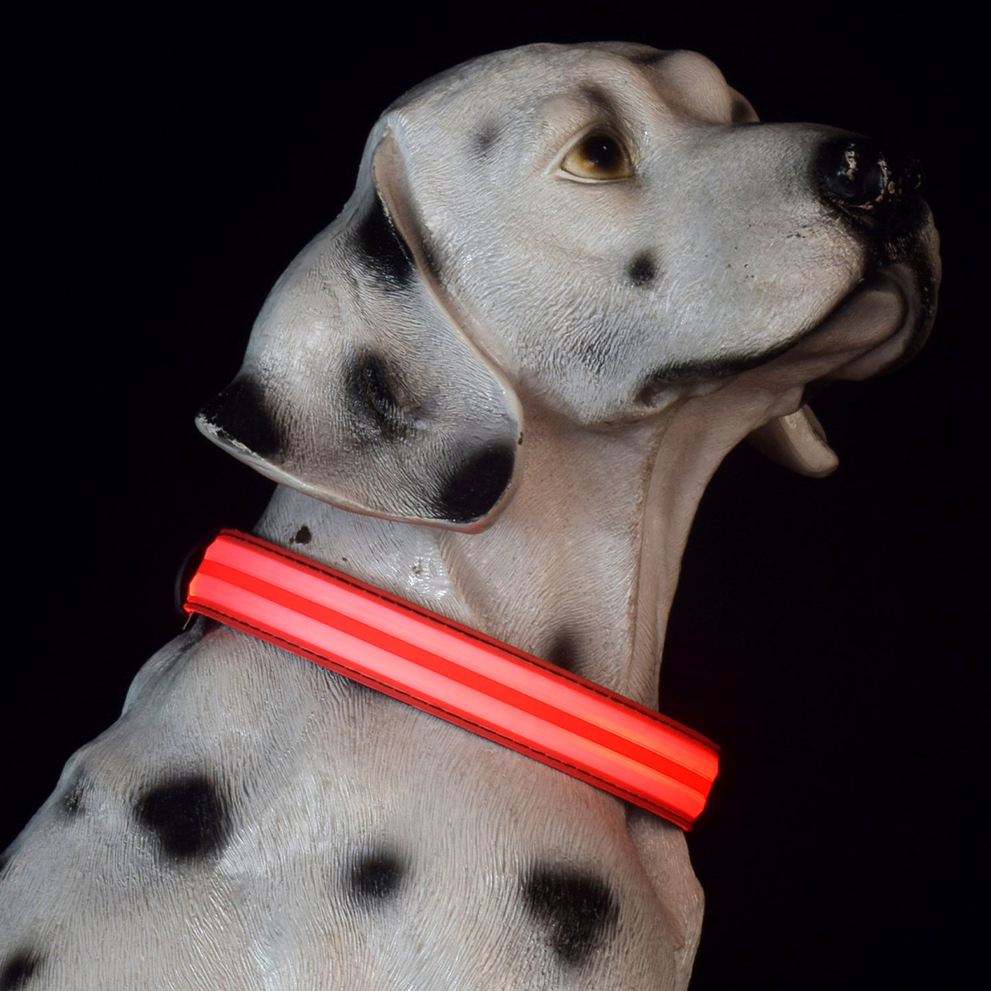 Adjustable Nylon LED Dog Collar Glow in the Dark Light Up 4