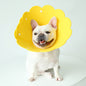 EVA Sunflower Dog Cone Adjustable Neck Recovery Collar
