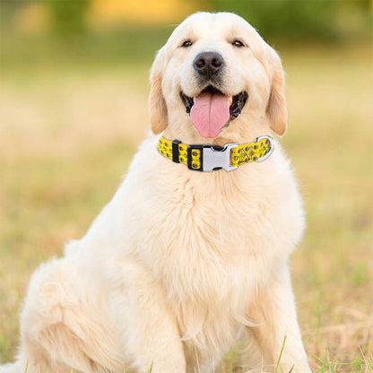 Polyester Dog Collar Cartoon Printed Adjustable Sizes XS to L 4