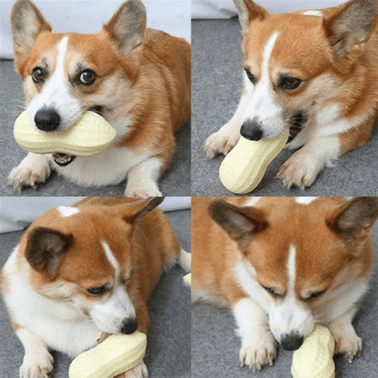 Peanut Shape Dog Chew Toy TPR Material Durable 13x6x5.5cm 2