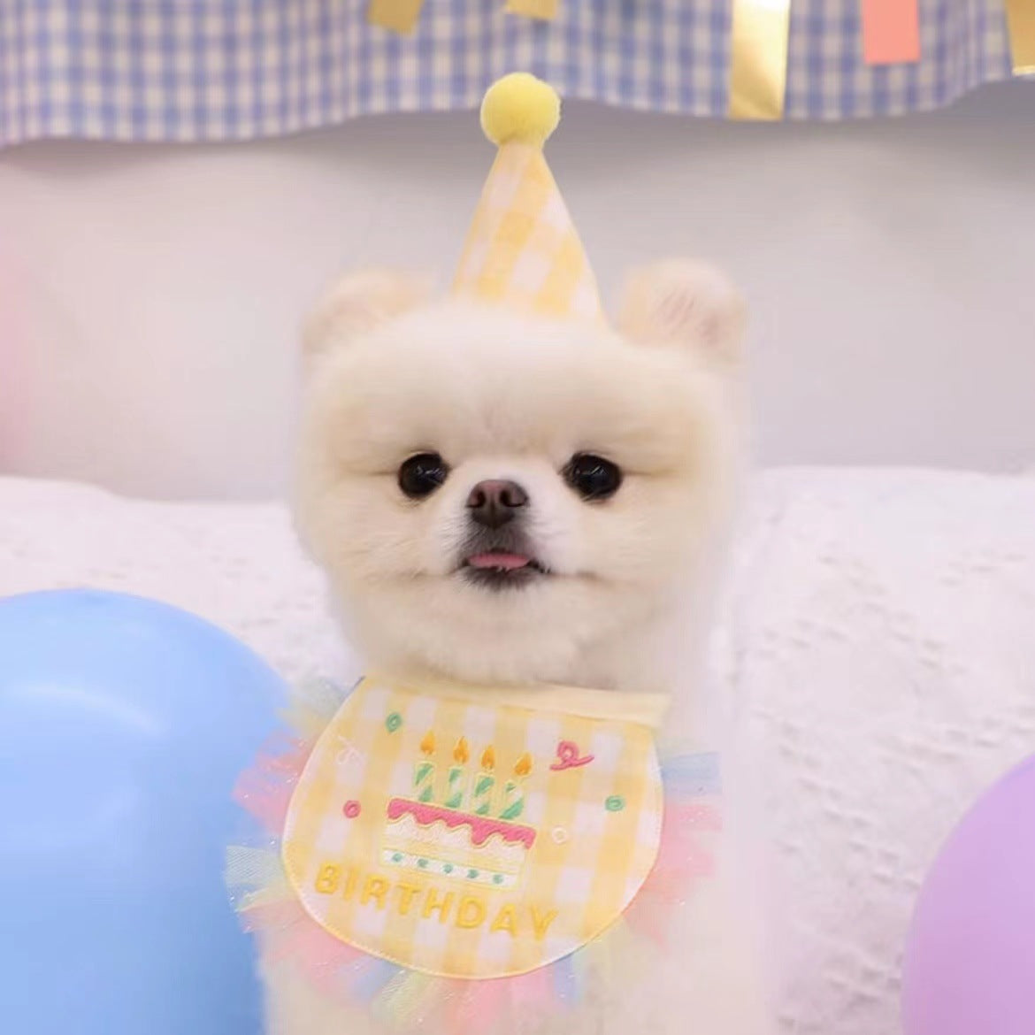 Cotton Polyester Dog Birthday Bib and Hat Set 2 Pack