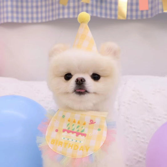 Cotton Polyester Dog Birthday Bib and Hat Set 2 Pack