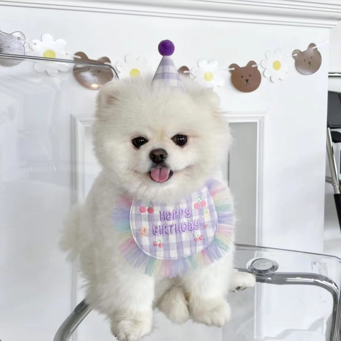 Cotton Polyester Dog Birthday Bib and Hat Set 2 Pack 8