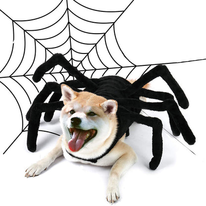Cotton Dog Costume Halloween Spider Cosplay Outfit Adjustable