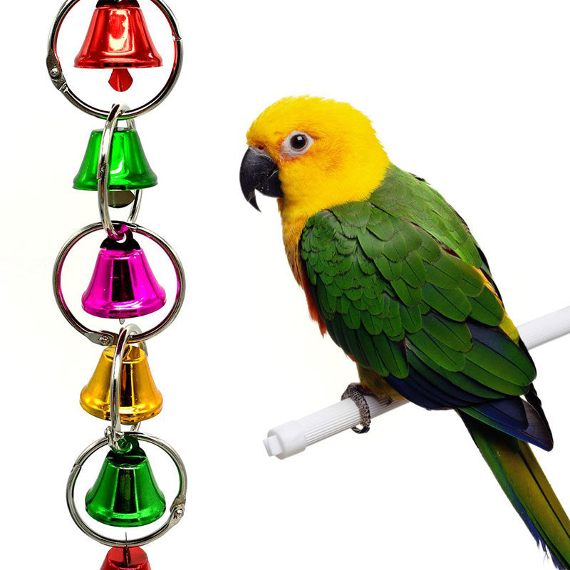 Iron Parrot Chain Bell Toy with Colorful Hanging Rings