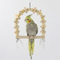 Wooden Parrot Swing Bird Cage Toy Solid Wood 22x16x3cm